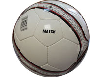 ��� ���������� 2102-259 MATCH